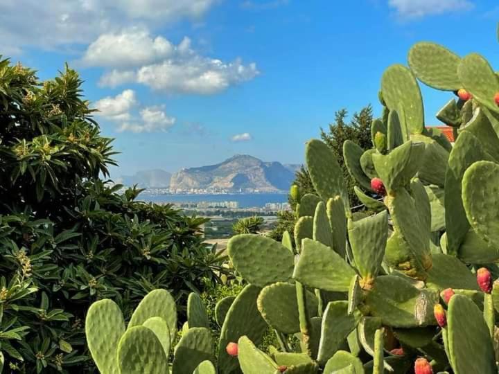 Il Siciliano Home Palermo Eksteriør bilde